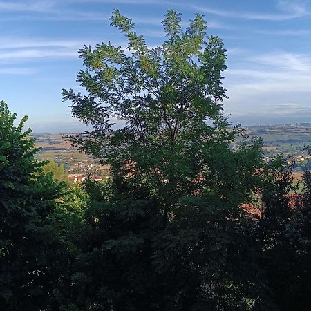Appartamenti Dei Conti Osimo Dış mekan fotoğraf