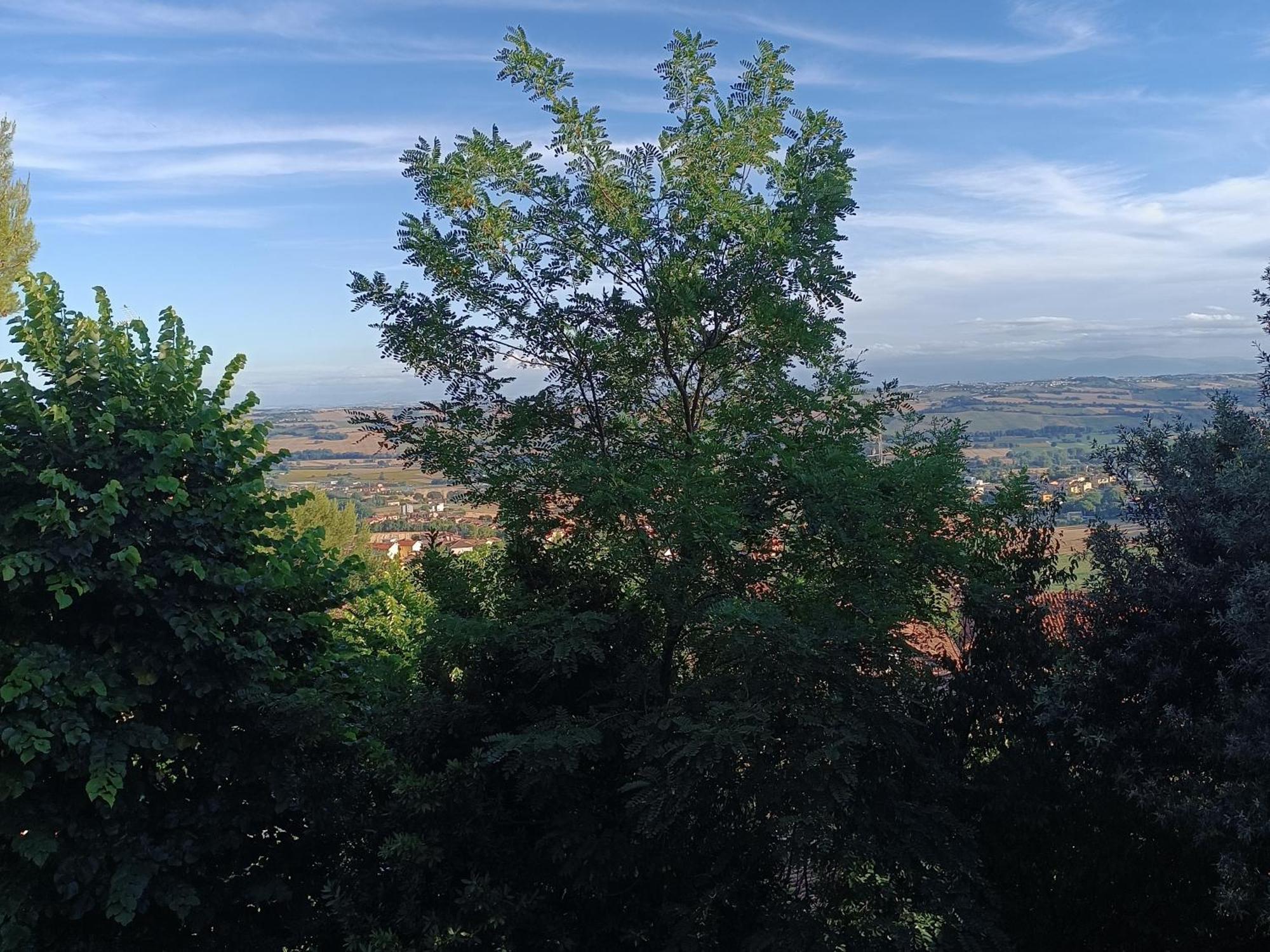 Appartamenti Dei Conti Osimo Dış mekan fotoğraf